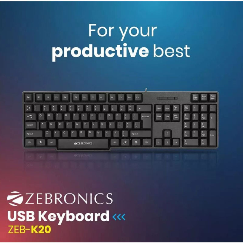 Zebronics Zeb-K20 Keyboard